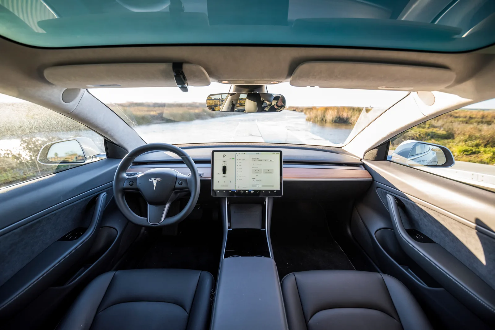 Kabinen i en Model 3 set bagfra mellem forsæderne, med glastaget øverst, skærmen tændt i parkeringsgear og en sø og siv uden for forruden
